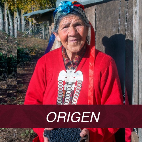 ORIGEN